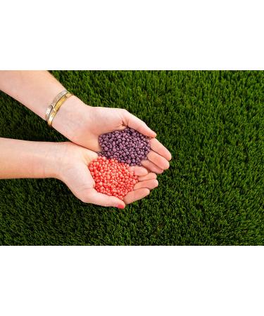 Nerds Grape & Strawberry Candy - 5 Oz. - Pack of 12 - Buy Online on GoSupps.com