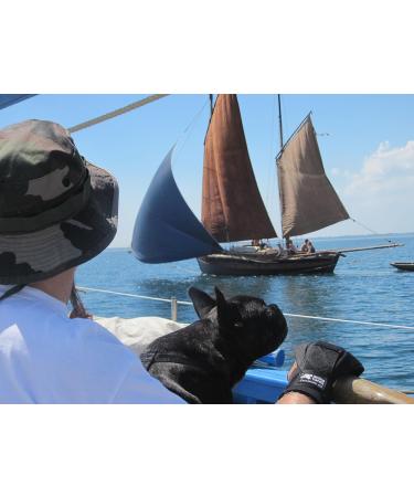 Active Hands Left Gripping Aid - All-Purpose Assistive Device for Better Grip | International Shipping Available - Buy Online on GoSupps.com