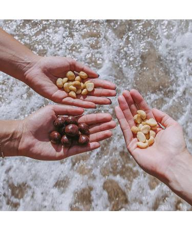 Island Harvest Organic Macadamia Nuts with Sea Salt - Hawaiian Keto Friendly, Non-GMO, All-Natural, High Fiber, 8oz Pack - Buy Online on GoSupps.com