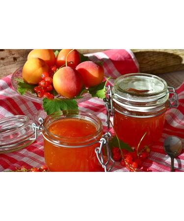 Jam Jar Cover Kit (5 Packs) - 24 Heat Sealing Covers Waxed Discs Rubber Bands and Blank Labels for Finishing 910g/2lb jam and Preserve Jars. - Buy Online on GoSupps.com