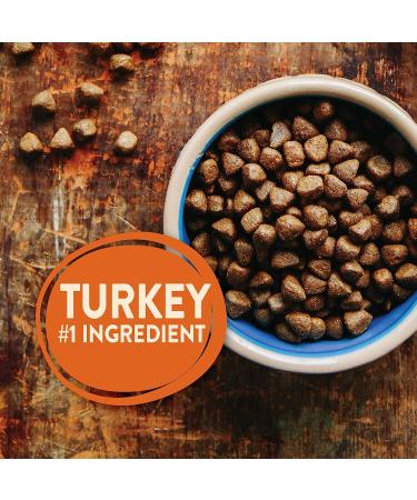 Wellness CORE Grain-Free High-Protein Dog Food | Natural & Real Meat, 12 lbs, All Breeds - Turkey & More - Buy Online on GoSupps.com