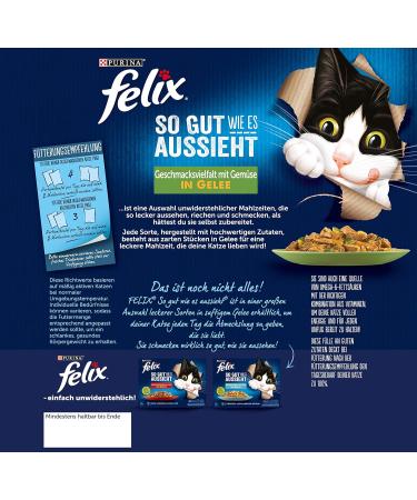 Felix Katznassfuck Jelly Cat Food - Varied Flavors with Vegetables | 4 Packs (4 x 24 x 85g) | Premium International Shipping - Buy Online on GoSupps.com