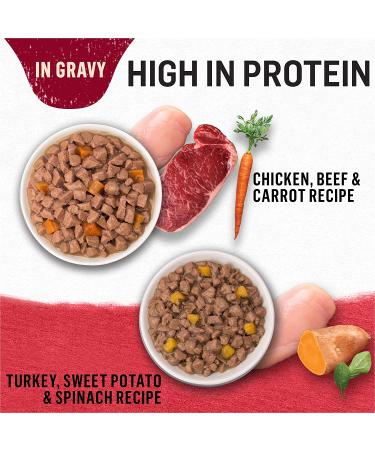 Purina Beyond Grain-Free Natural Adult Wet Cat Food Variety Pack - 24 Count - Buy Online on GoSupps.com