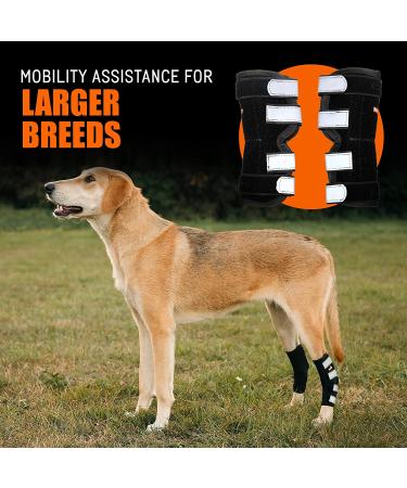 NeoAlly Dog Braces for Back Legs with Dual Metal Spring Inserts - Large, 1 Pair - Buy Online on GoSupps.com