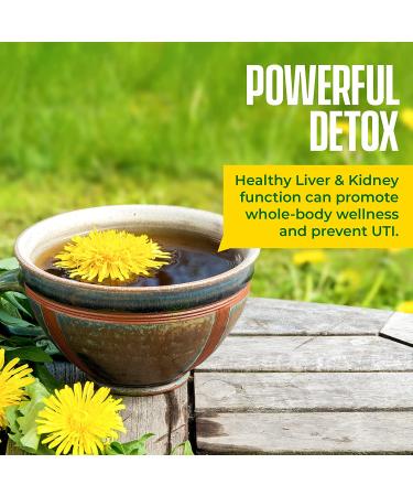 Organic Dandelion Root Tea - Digestive & Immune Support - Anti-inflammatory & Antioxidant - 20 Count Pack - Buy Online on GoSupps.com