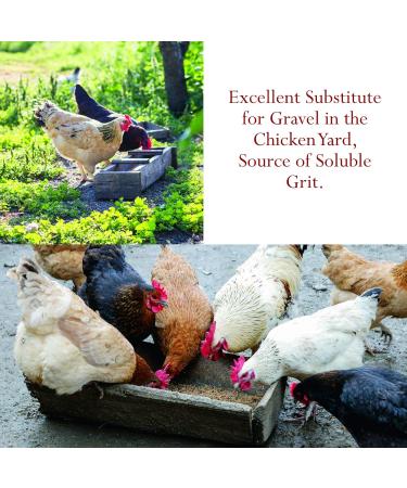 Foothills Naturals Oyster Shells Crushed - 1 kg (2.2 lb) Natural Nothing Added - Buy Online on GoSupps.com