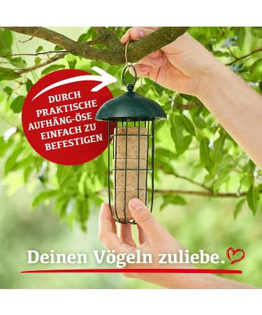 Buy DELICIA Meisenballen Spender - Bird Feeding Station for Meisenkn del & Dumplings | International Shipping Available - Buy Online on GoSupps.com
