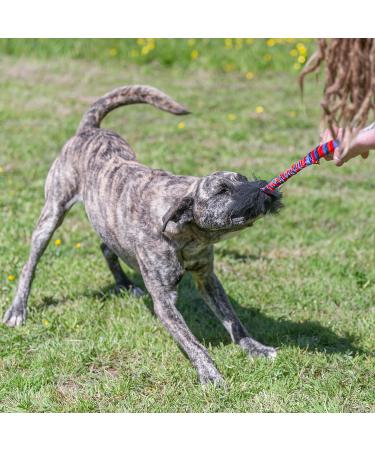 Tug-E-Nuff WondaBaa Bungee Tug Toy for Dogs for Interactive Training & Play | Soft and Responsibly-Sourced Sheepskin Bite Area | For Dogs of All Ages | Durable Design in 3 Colours | Size 23 x 3 inches Pink Pattern - Buy Online on GoSupps.com