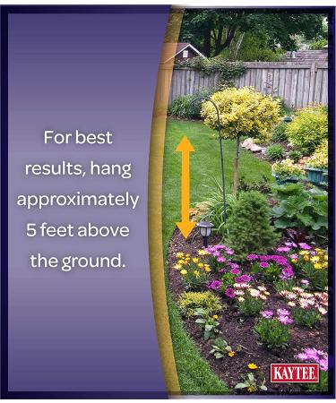 Kaytee Woodpecker Bird Seed Bar 11 oz - Nutritious Treat for Woodpecker Species - Buy Online on GoSupps.com