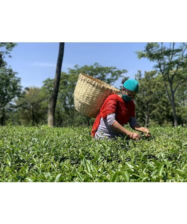 HIMALAYAN BREW Sugar Free Stevia Tea - Buy Online on GoSupps.com