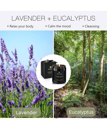 Scented Candles for Men | Lavender Eucalyptus Black Candles | Stress Relief Gifts for Home | Perfect Birthday & Christmas Gifts - Buy Online on GoSupps.com