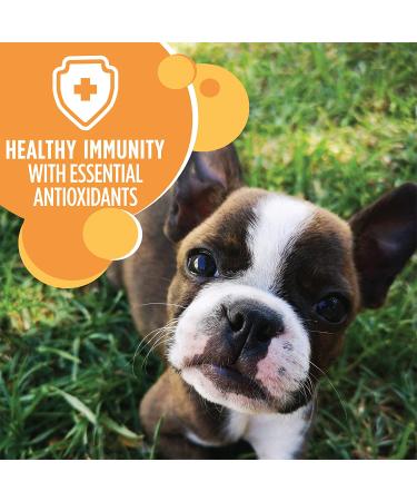 Iams Puppy Dry Dog Food Chicken 15 lb - All Breed Sizes, Medium Breed - Buy Online on GoSupps.com