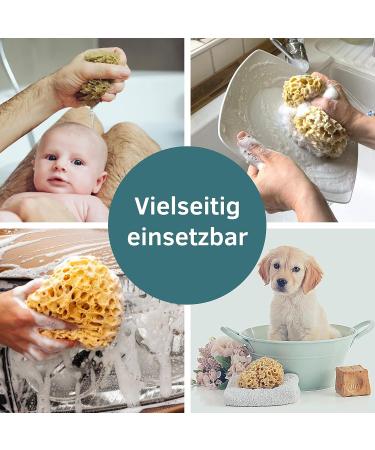 Tom & Pat Natural Bathing Sponge with Cordel | Premium Quality Shower & Peeling Sponge from Greece - Dermatest Rated Very Good (15-16 cm) - Buy Online on GoSupps.com