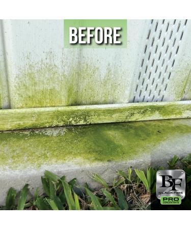 Blackfire PRO Concentrate Instant Mildew Stain Remover | Best for Boat Marine Home & Bathroom Cleaning - International Shipping Available - Buy Online on GoSupps.com