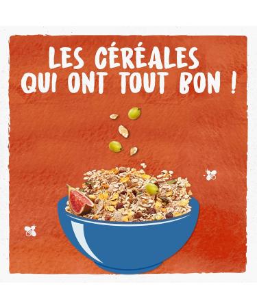 BJORG - Organic Muesli Without Added Sugars - Grape Fig Date Apricot - Whole Grain - Bag 750g - Buy Online on GoSupps.com