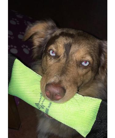 Buy DOGS and MORE - Robust Floating Training Dummy Toy in Yellow | Perfect Retrieval Toy for Dogs - International Shipping Available - Buy Online on GoSupps.com