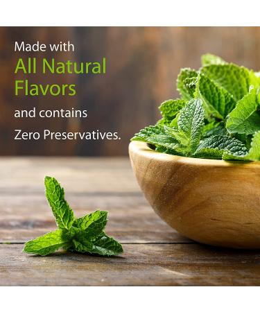 Xyloburst Xylitol Chewing Gum - Spearmint Flavor (150g, 100 Pieces) - Sugar-Free, Dental Health - Buy Online on GoSupps.com