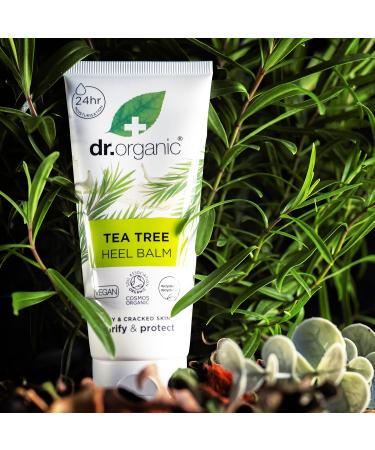 Dr Organic Tea Tree Heel Balm Dry& Cracked Feet Purifying 24H Moisturisation Natual Sunflower Seed Oil Vegan Cruelty-Free Paraben & SLS Free Certified Organic 100ml - Buy Online on GoSupps.com