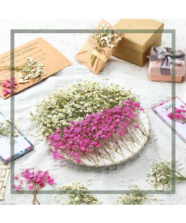 Dried Baby's Breath Flowers - 200 Pcs Natural Gypsophila Branches for Wedding DIY Crafts and Home Decor - 2 Colors - Buy Online on GoSupps.com