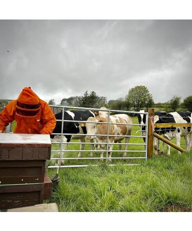 Pure and Natural Honey Single Origin By M l Gwenyn Gruffydd Honey | Local Welsh Wildflower Unpasteurised | 227g Glass Jar | Pure Natural Honey | Raw Welsh Honey | Wildflower Honey - Buy Online on GoSupps.com
