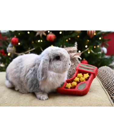 Cupid & Comet Rosewood Cupid & Comet Christmas Puzzle Stocking Gnaw Treat for Small Animals - Buy Online on GoSupps.com