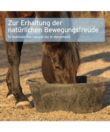 AniForte Mauke Horse Formula 1kg - Skin & Hoof Care Metabolism & Immune System Support Horse Care for Vital Skin & Wellness - Buy Online on GoSupps.com