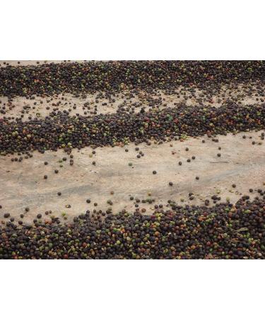 CAFES GUILIS DESDE 1928 AMANTES DEL CAFE Natural Coffee in Gold Beans Wet Polish 1 kg - Buy Online on GoSupps.com