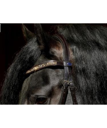 Havanna Bridle Brown Glitter Nose & Browband - Tysons VB WB XF XXF Coldblood | Shop Internationally - Buy Online on GoSupps.com