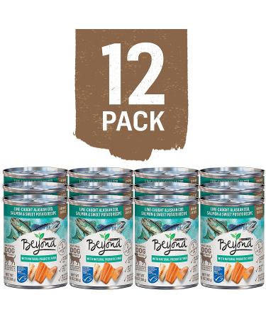 Purina Beyond Grain Free Wet Dog Food â€“ Ocean Whitefish, Salmon & Sweet Potato (12 Cans, 13 oz Each) - Buy Online on GoSupps.com