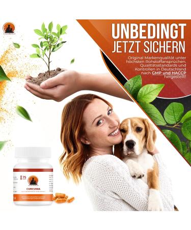 Vital Paws 3x75 Capsules Curcuma for Dogs & Cats - Premium Curcumin & Piperine Supplement Made in Germany High Purity & Quality - Buy Online on GoSupps.com