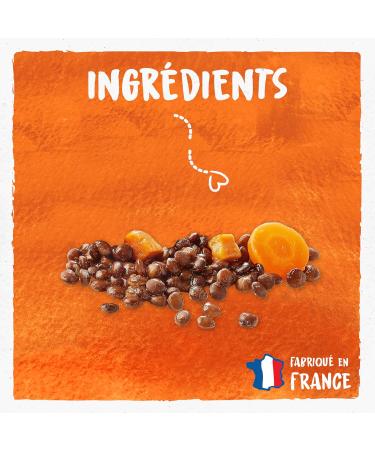 BJORG - Organic Lentil Carrots Ready Meal - Organic and Vegetarian Ready Meal - Microwaveable Doypack 250 g - Buy Online on GoSupps.com