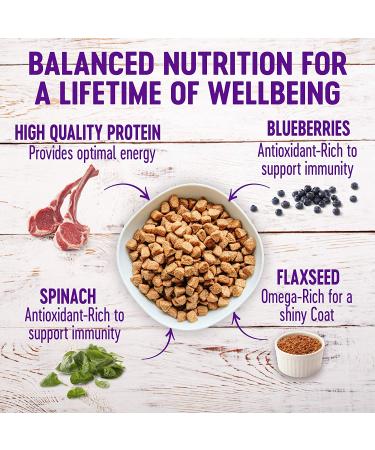 Wellness Natural Pet Food - 5 lbs. Lamb & Barley Dry Dog Food - Buy Online on GoSupps.com
