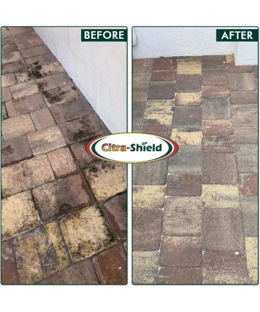 CITRASHIELD Contractor Grade MultSurface Outdoor Cleaner | DIY Home Improvement Exterior Cleaner Green Cleaner | Concrete Cleaner Roof Cleaner Siding Cleaner Headstone Cleaner Awning Cleaner  - Buy Online on GoSupps.com