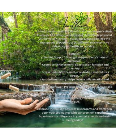 I AMZ Nature 10:1 Mushroom Complex Capsules - Energy Immunity & Focus Booster - Premium Herbal Supplement for International Shipping - Buy Online on GoSupps.com