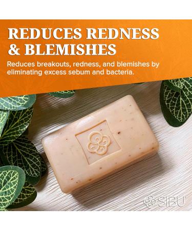 Sea Berry Therapy Sea Buckthorn Soap Cleansing Face & Body Bar with Citrus Scent (3-Pack) Moisturizes Skin Reduces Redness and Blemishes and Calms Sensitive Skin - Buy Online on GoSupps.com