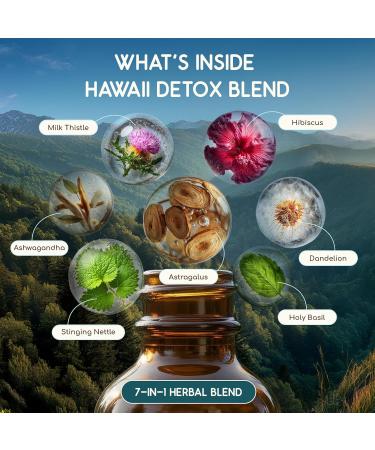 HerbEra Hawaii Herbal Detox Blend - USDA Organic Extract Made in USA | Immune & Liver Support Liquid Drops | Ashwagandha Astragalus Dandelion Root Milk Thistle Hibiscus | 2 fl oz - Buy Online on GoSupps.com