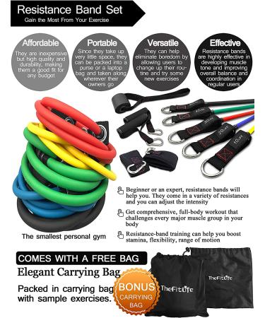 TheFitLife Exercise Resistance Bands - 5 Stackable Fitness Workout Bands up to 300lbs - Handles, Ankle Straps, Door Anchor, Carry Bag - Buy Online on GoSupps.com