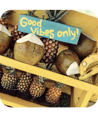Sun Bum Cool Down Aloe Vera Gel | Vegan Hypoallergenic After Sun Care | Cocoa Butter for Sunburn Relief - 8 oz - Buy Online on GoSupps.com