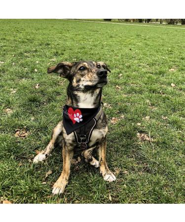 Printplanet Dog Scarf with Custom Name/Text - Pfotenherz Design - Size S - Buy Online on GoSupps.com