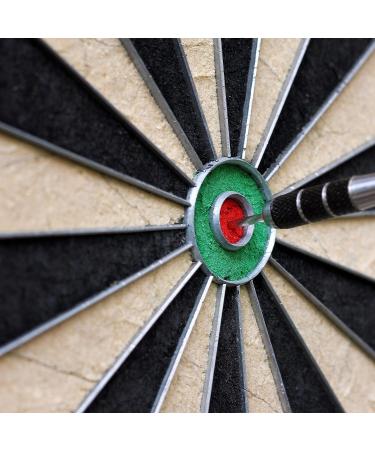 Hey! Play! Tournament Sized Bristle Dart Board - Indoor Hanging Number Target Game for Steel Tip Darts - Includes Mounting Hardware - Buy Online on GoSupps.com