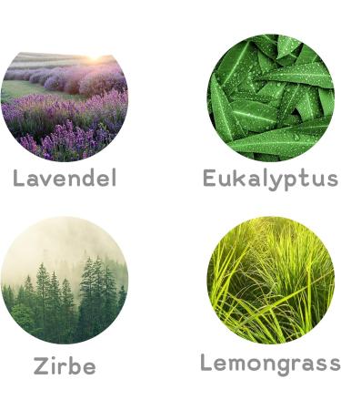 Cozynature Sauna Infusion with Essential Oil | 4 Set Eucalyptus Lemongrass Zirbe Lavender | Premium Sauna Accessories | Free Sauna eBook Included - Buy Online on GoSupps.com