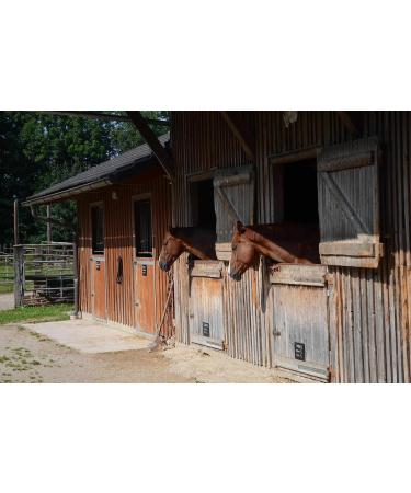 HorseGuard Muzzle for Horses | Teddy Fleece Padding | Sizes for Shetland & More - Buy Online on GoSupps.com