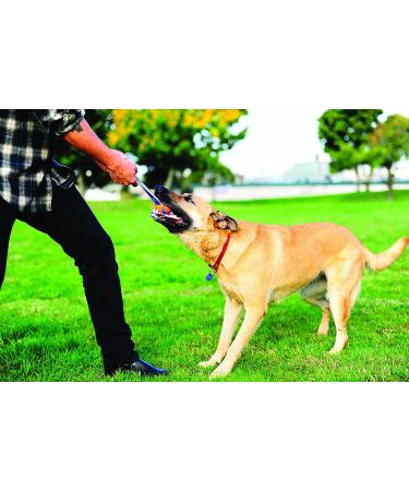 Chuckit! Ultra Tug & Toss Dog Toy for Small, Medium, and Large Dogs - Medium Size - Buy Online on GoSupps.com