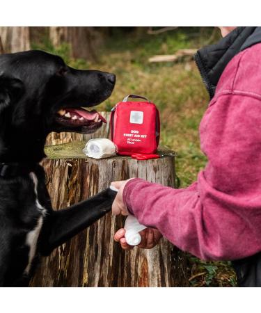 Mountain Paws Dog First Aid Kit - Portable and Compact for Walks, Home, Outdoor and Travel - Buy Online on GoSupps.com