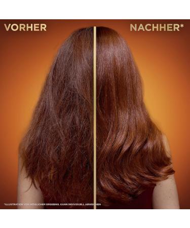  Garnier Garnier Repair Shampoo for Brittle Hair Acacia Honey and Beeswax For Extra Shine and Softness Real Honey Treasures 6 x 250 ml - Buy Online on GoSupps.com