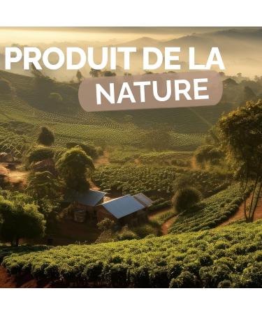 Herbes du Monde - Tisane Foie L ger BIO 50g : Infusion aux Plantes pour le Bien- tre Digestif M lange BIO Certifi AB 1 Sachet - Buy Online on GoSupps.com