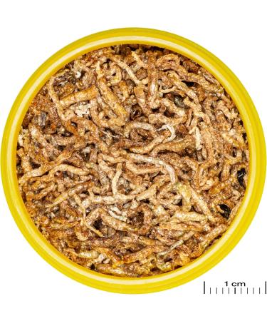 JBL PRONOVO Fil 100 ML - Buy Online on GoSupps.com