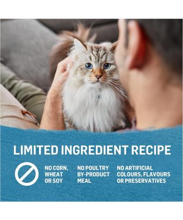 Beyond Wet Cat Food Arctic Char & Spinach Pate - 85 g Can (12 Pack) - Buy Online on GoSupps.com