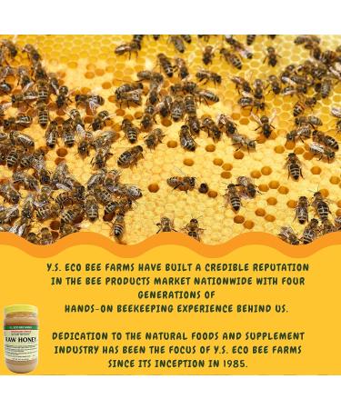 Y.S. Eco Bee Farms Y.S. Organic Bee Farms Wholesome Natural Raw Honey Unpasteurized Unfiltered Fresh Raw State Kosher Pure Natural Healthy Safe Gluten Free Specially Harvested 22oz - 2pk - Buy Online on GoSupps.com