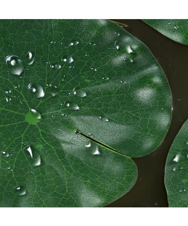 Molain Artificial Lotus Leaves - 8 Realistic Foam Lily Pads for Home Garden Pond Pool & Aquarium Decoration - Buy Online on GoSupps.com